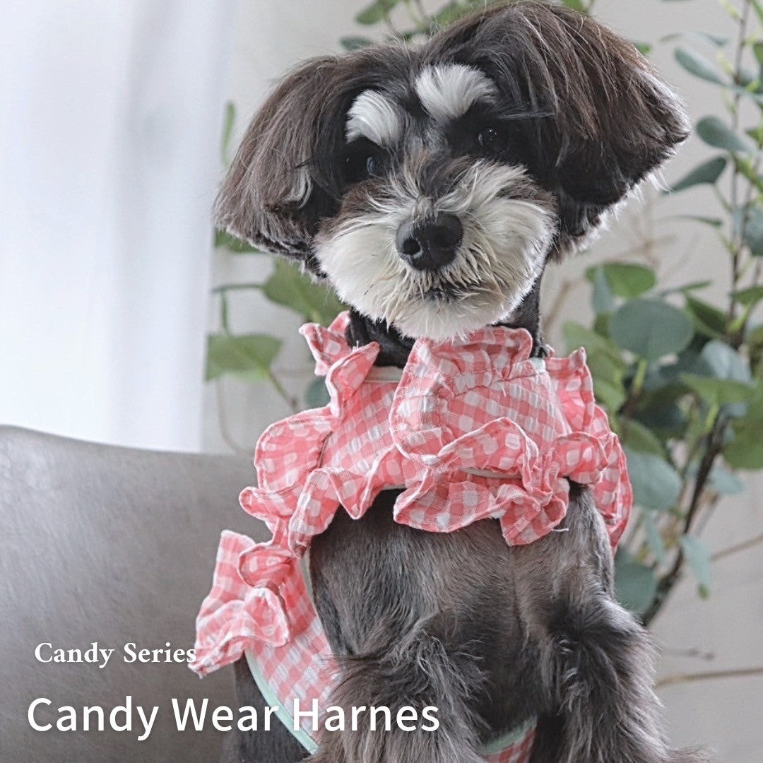 【Candy Series】Candy Wear Harness / キャンディウェアハーネス