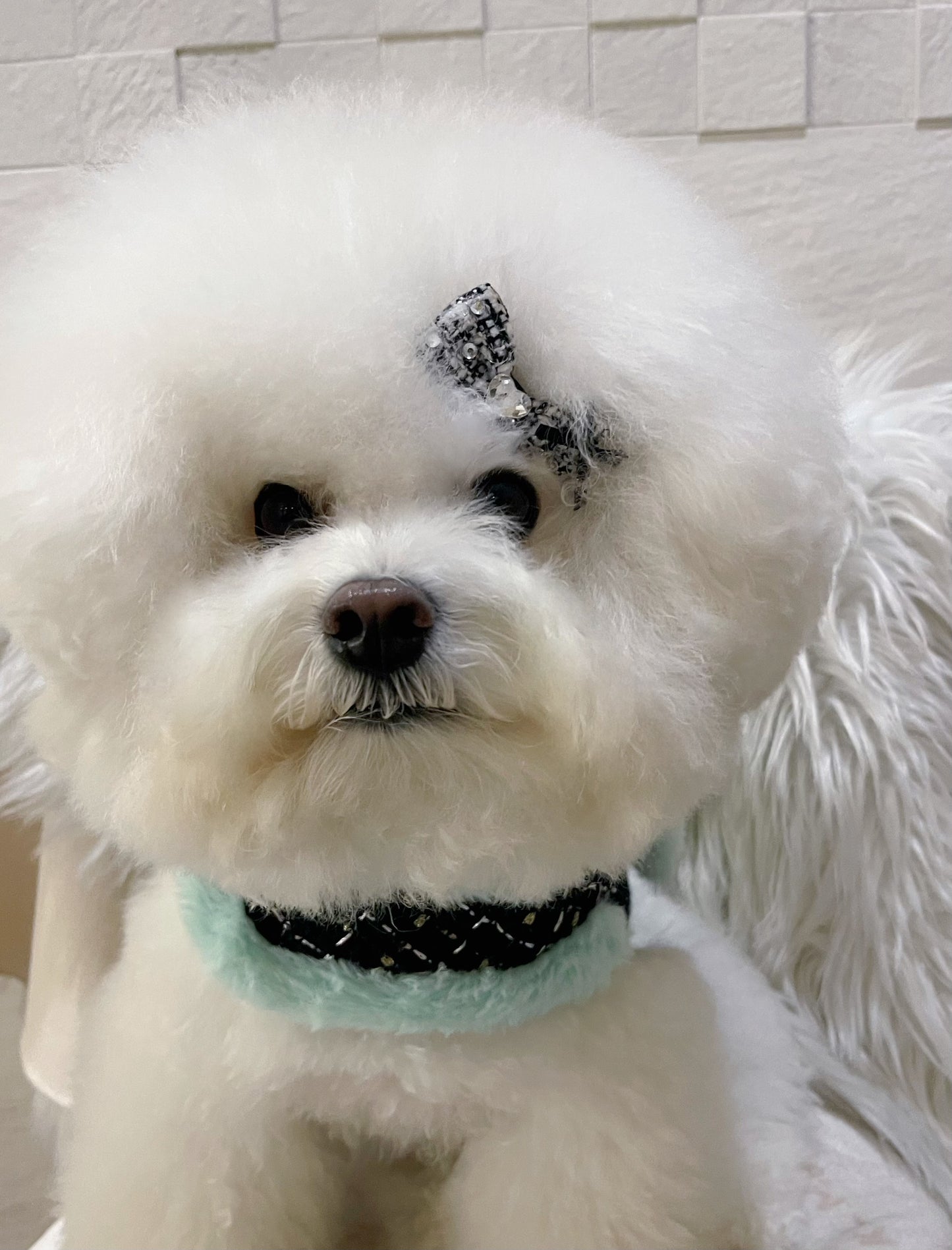 【Candy Series / 即納】Tweed Ribbon Hair Pin / ツイードリボンヘアピン