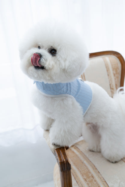 【即納】"King Of Dog" Stripe Wear Harness for Pet / 「King Of Dog」ストライプウェアハーネス for Pet