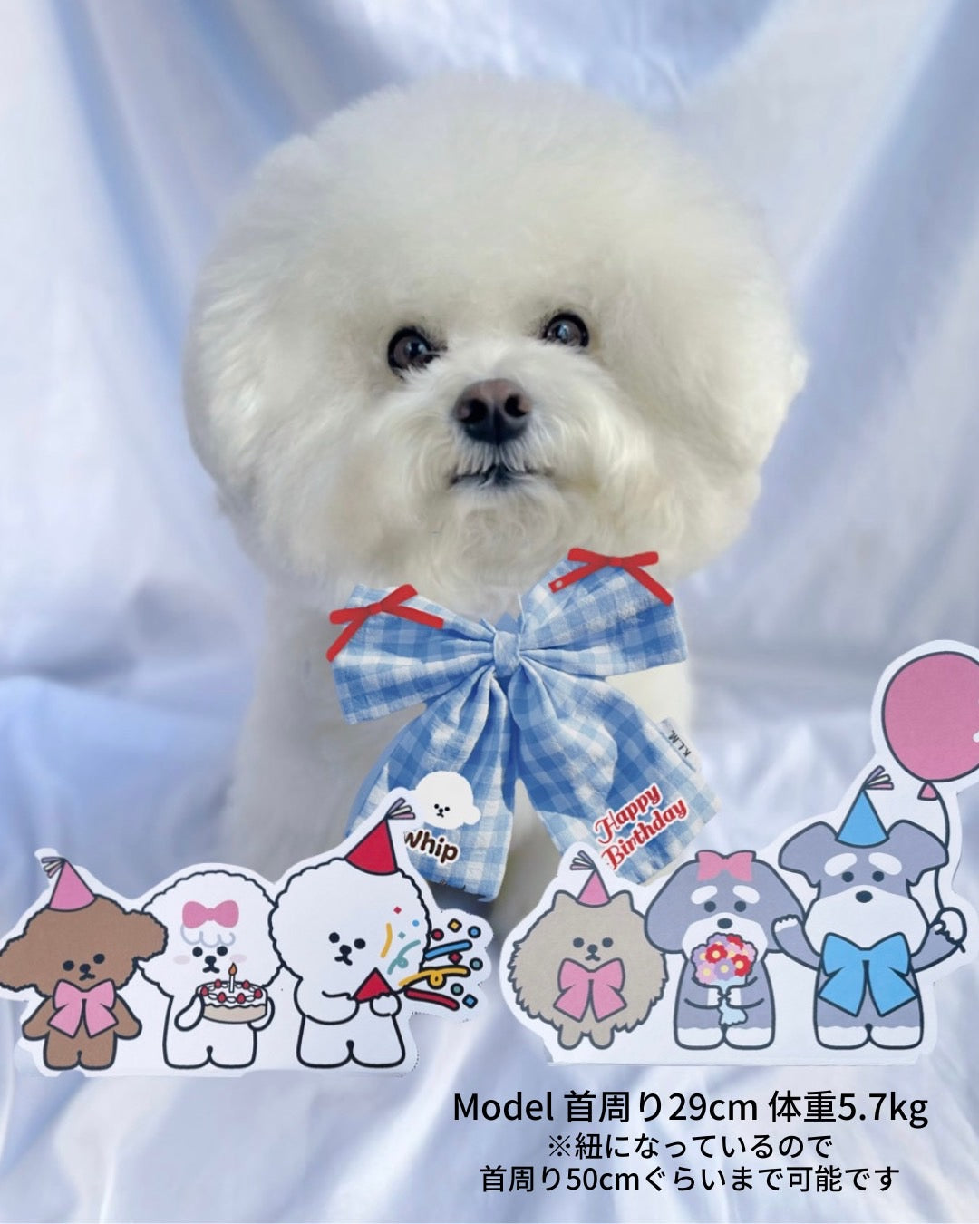 【予約商品】Custom Big Ribbon Anniversary ver. / カスタムビッグリボンアニバーサリーver.