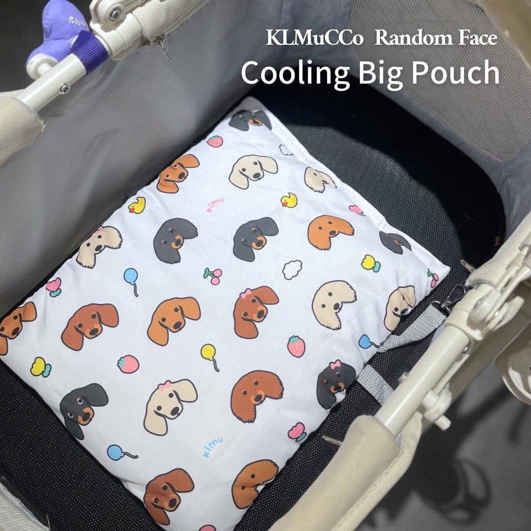 【New / 即納】Random Face Cooling Big Pouch / ランダムフェイスクーリングビッグポーチ