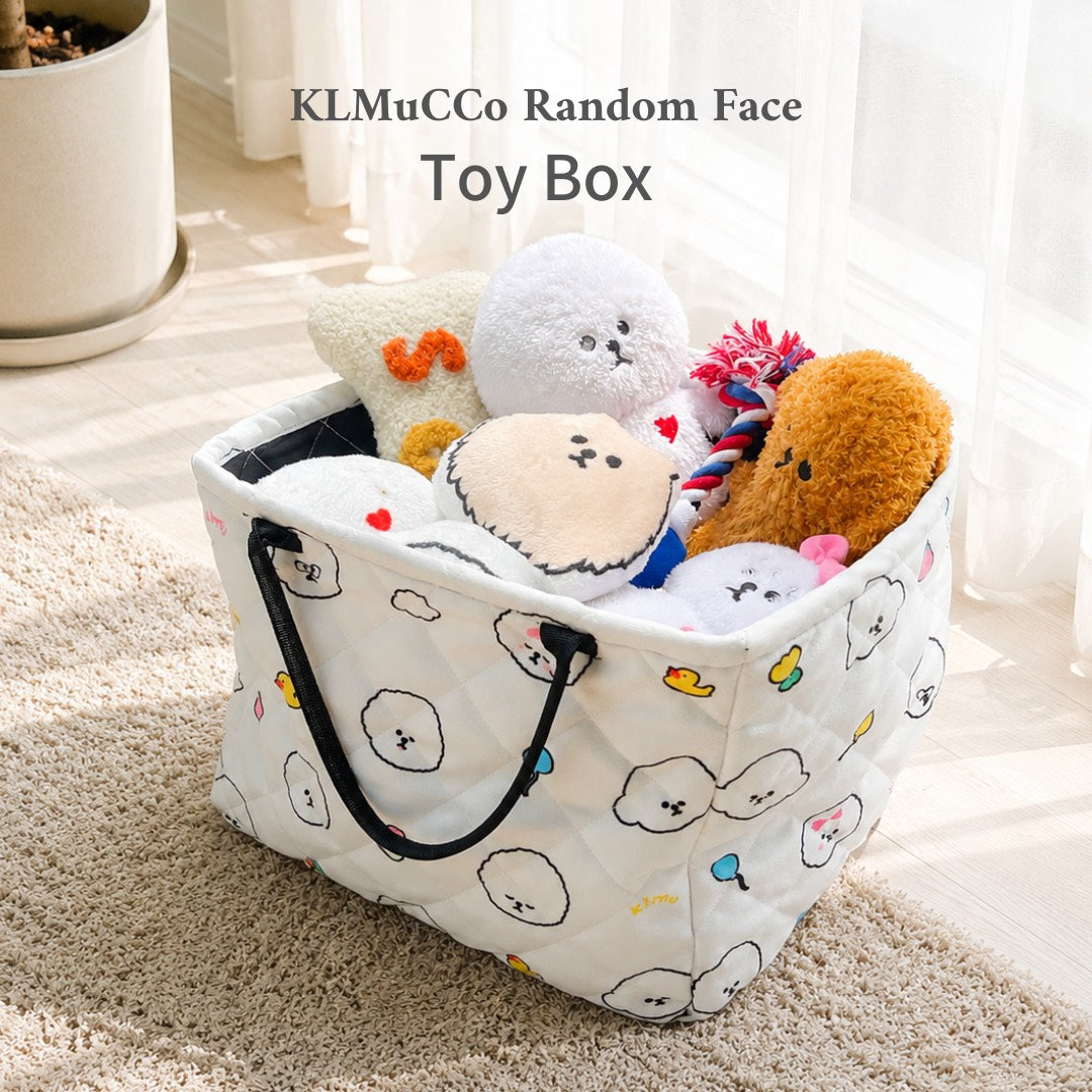 【予約商品】Random Face Toy Box / ランダムフェイストイボックス