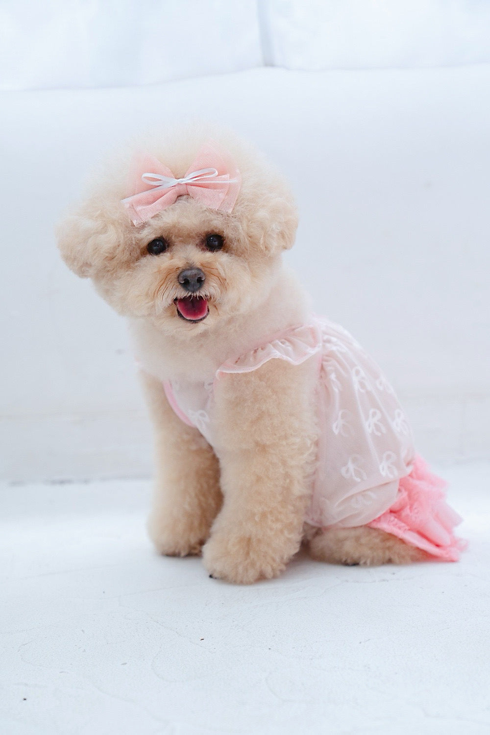 【Candy Series / 即納】Sheer Frill Rompers / シアーフリルローンパス
