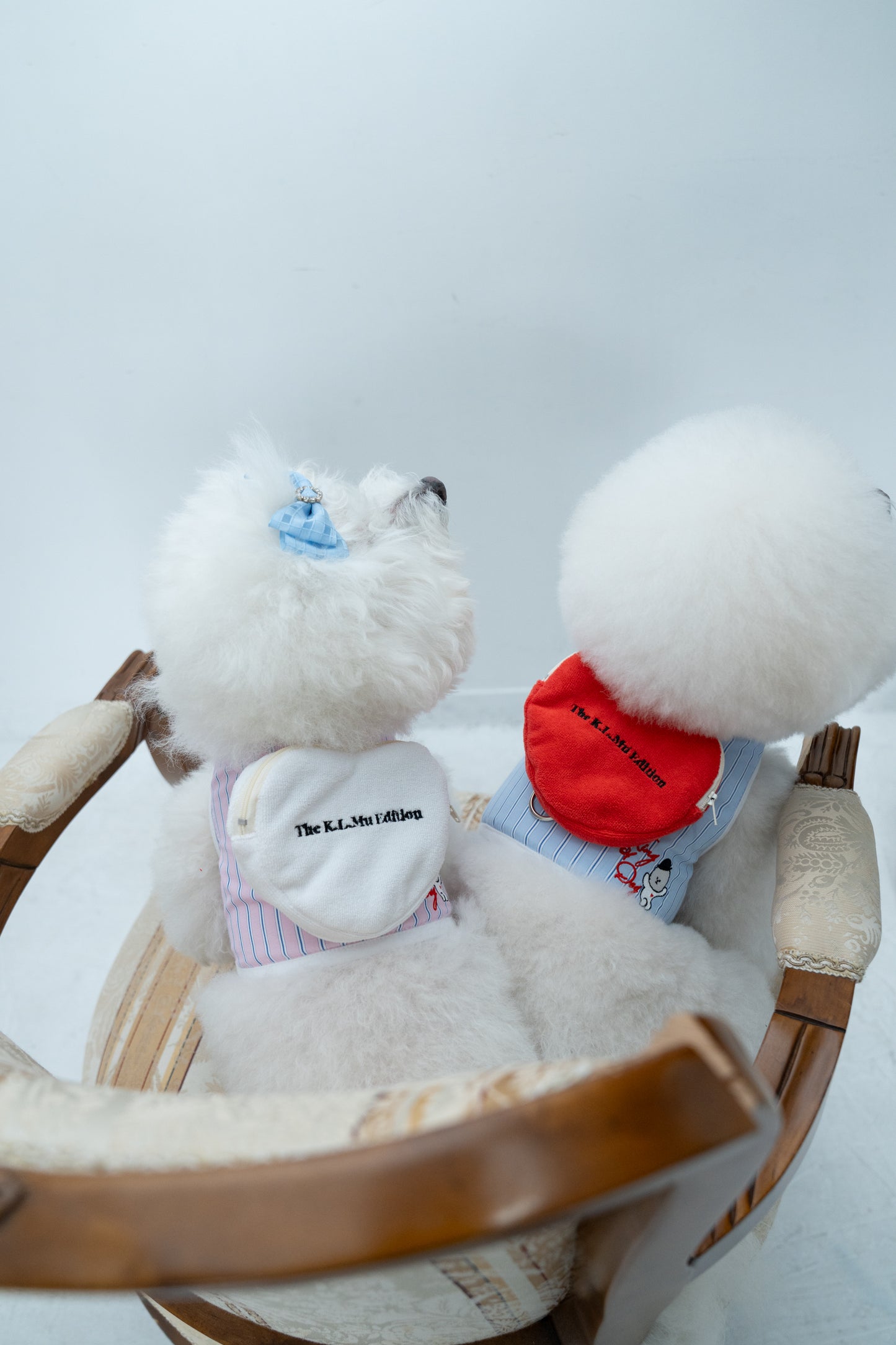 【即納】"King Of Dog" Stripe Wear Harness for Pet / 「King Of Dog」ストライプウェアハーネス for Pet