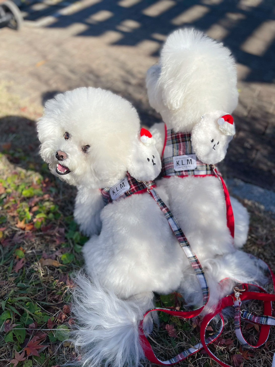 【即納】Mr. Klmu's Holiday Wear Harness / ホリデーウェアハーネス