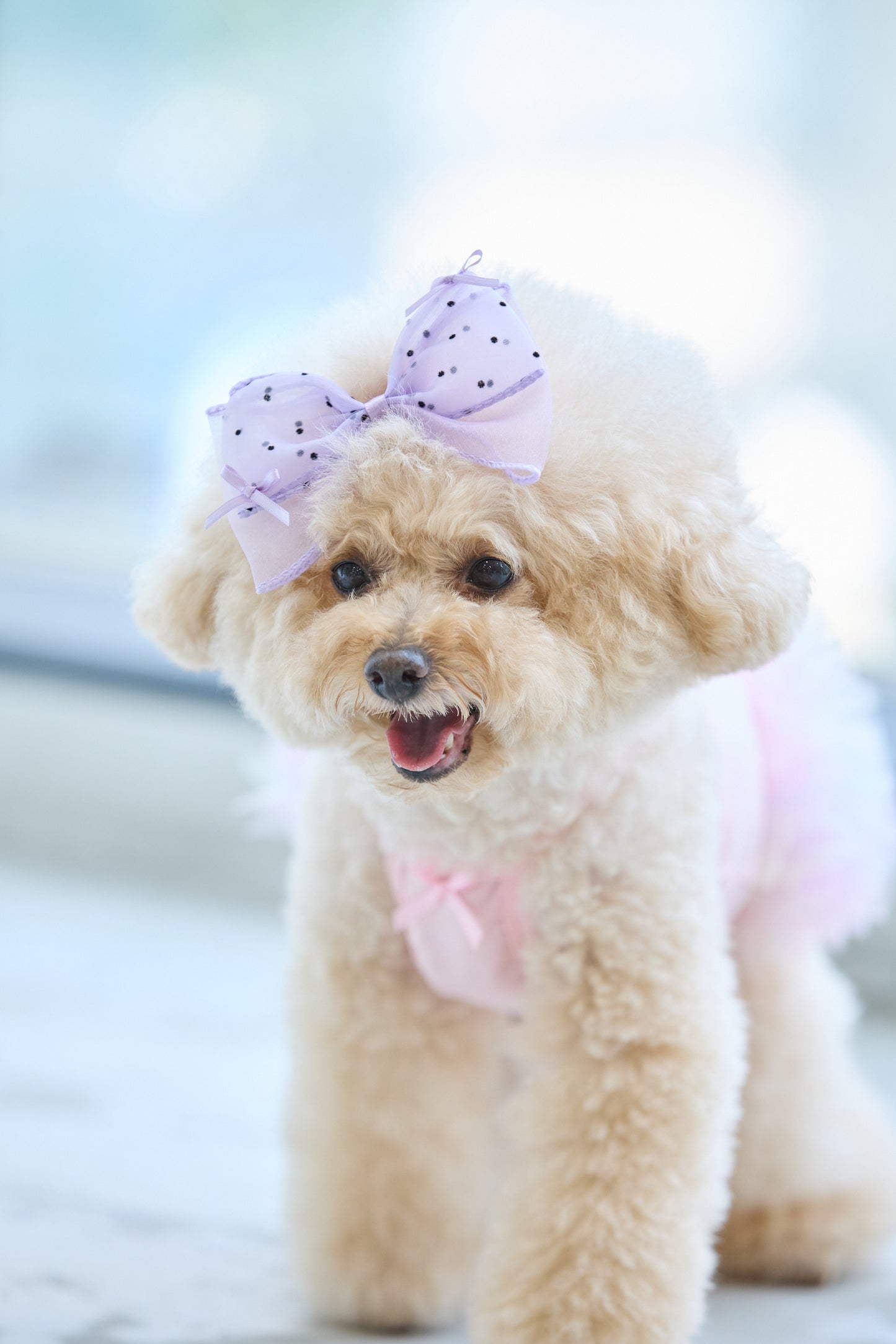【即納】Big Ribbon Hair Pin / ビッグリボンヘアピン