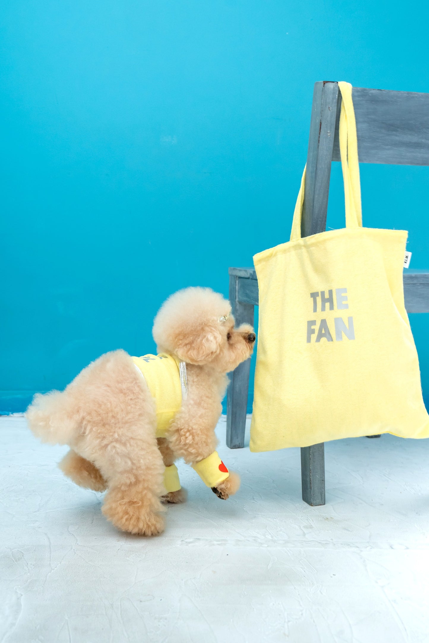 【即納】"THE FAN" Tote Bag for Owner / 「THE FAN」トートバッグ