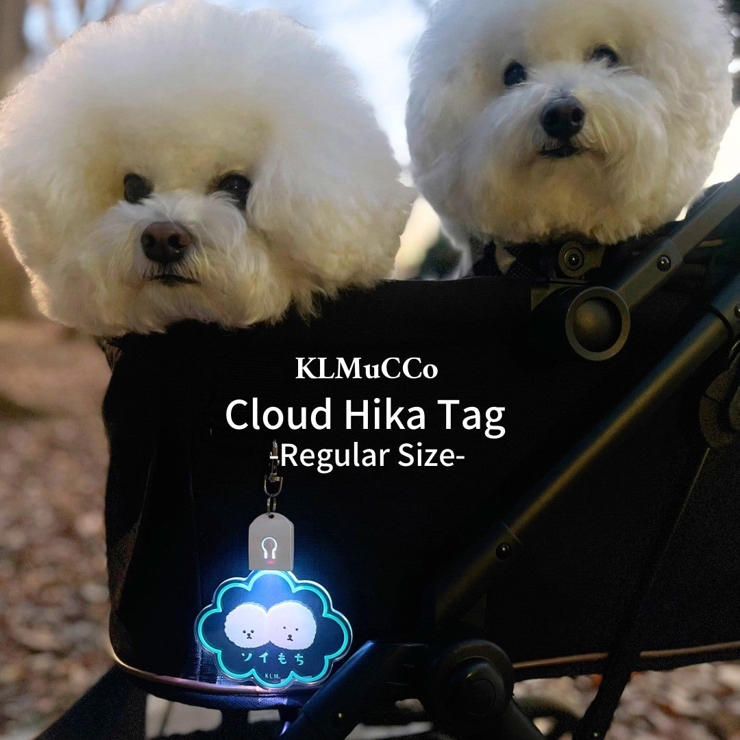 【予約商品】"KLMuCCo" Cloud Hika Tag / 雲型光タグ