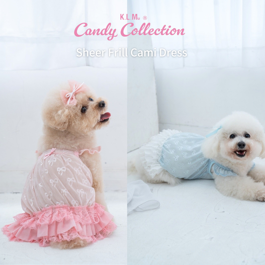 【Candy Series / 即納】Sheer Frill Dress / シアーフリルドレス