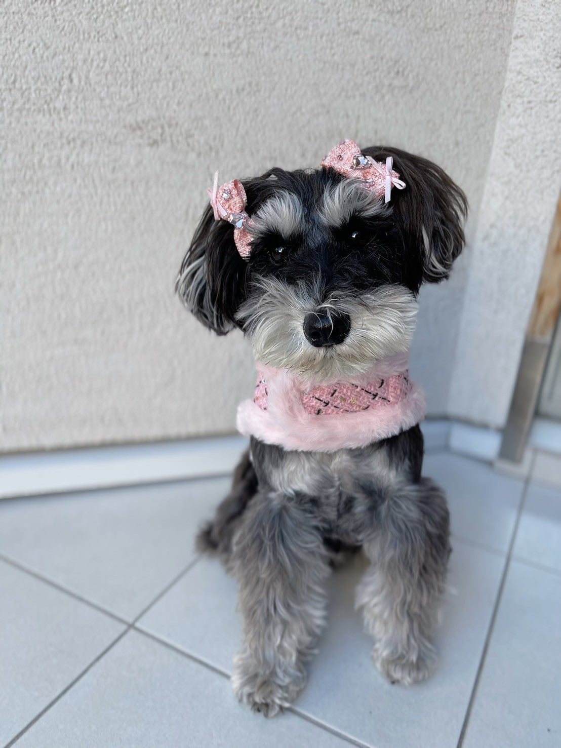 【Candy Series / 即納】Tweed Ribbon Hair Pin / ツイードリボンヘアピン