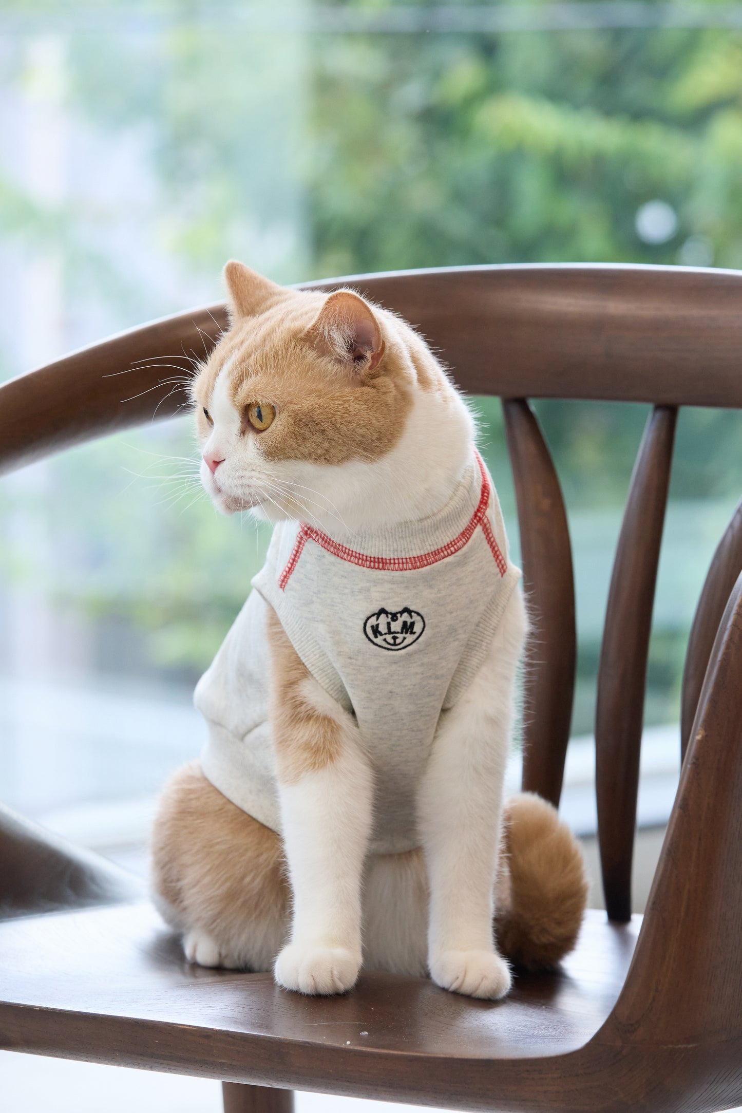【即納】"King Of Dog" Sweat Tank Top for Pet / 「King Of Dog」スウェットタンクトップ for Pet