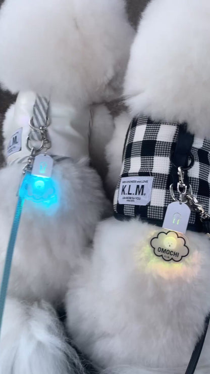 【予約商品】"KLMuCCo" Cloud Hika Tag / 雲型光タグ