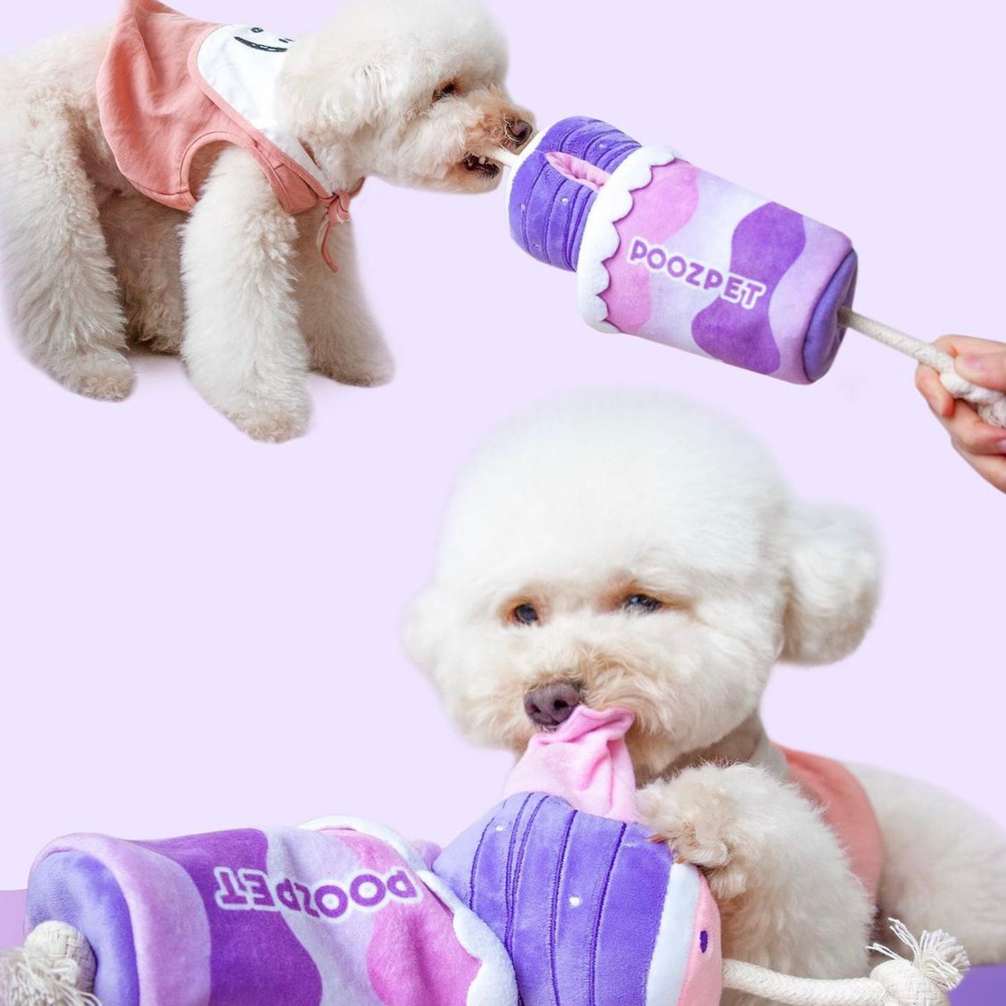 Snuffle Toy "TARO MILK TEA" / ノーズワークオモチャ「タロイモミルクティ」