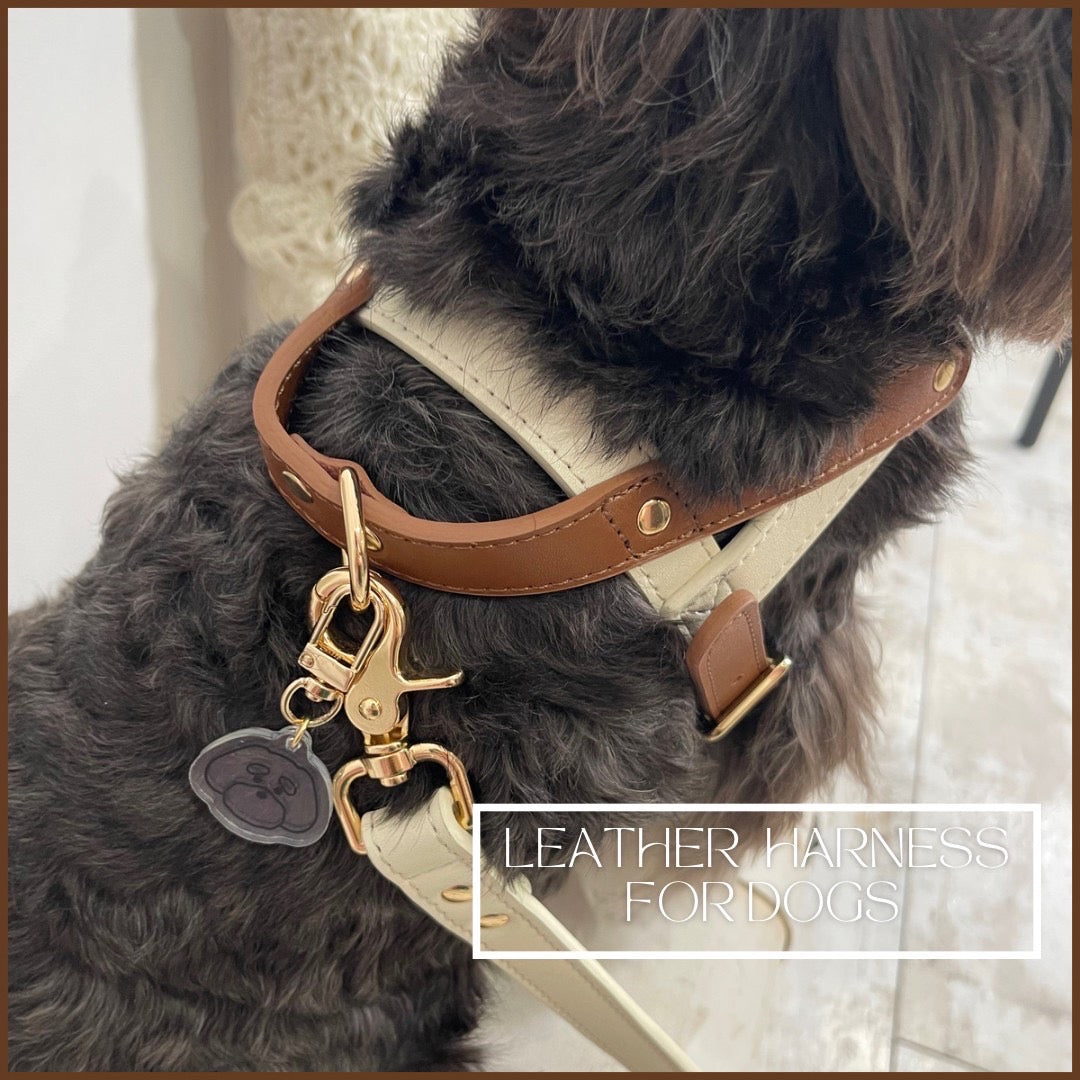 【New】Leather Harnness for dog / レザーハーネス for dog