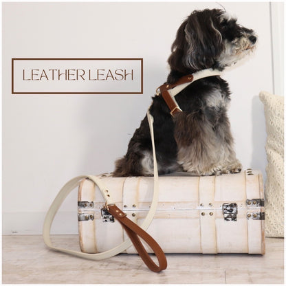【Hot】Leather Leash / レザーリード