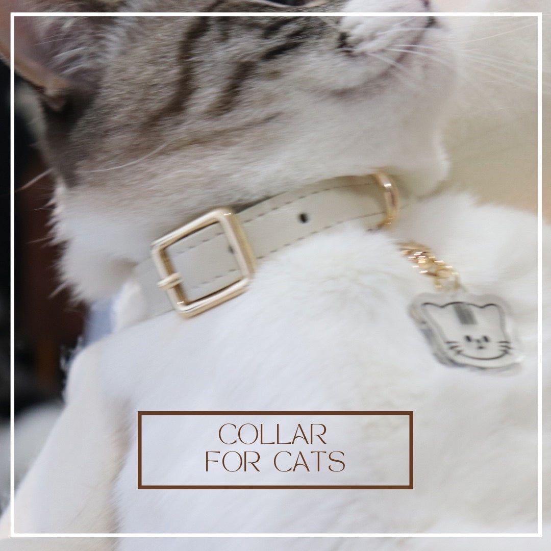 Collar for cat / レザー首輪 for cat