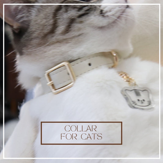 【New】Collar for cat / レザー首輪 for cat