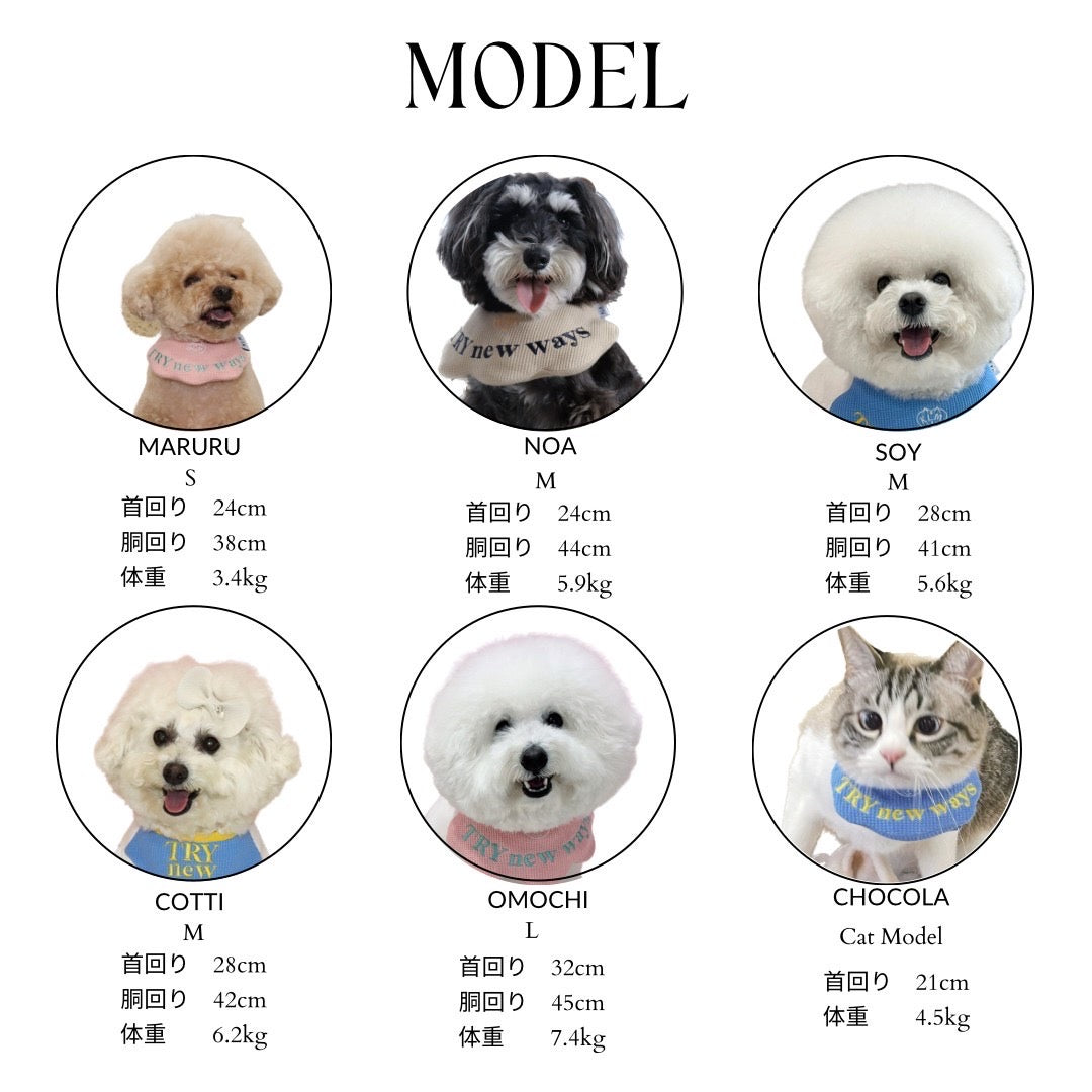 Leather Collar for dog / レザー首輪 for dog